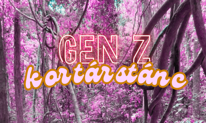 GEN Z kortárstánc