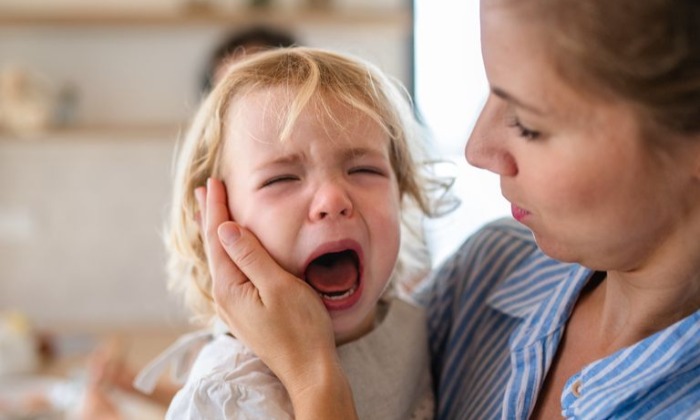 Kapcsolódó nevelés alapjai