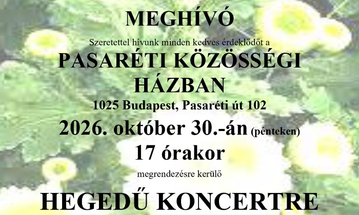 Hegedű koncert